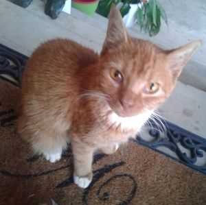 Meet your Posher, Jenn michelle